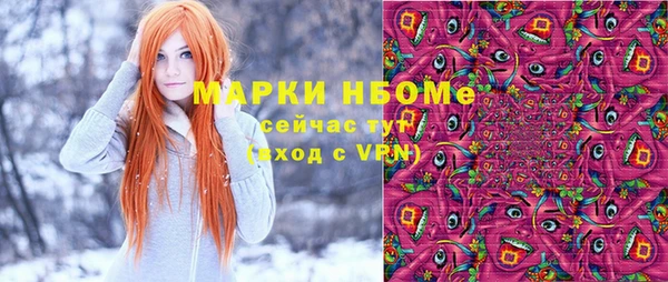 дживик Верхний Тагил