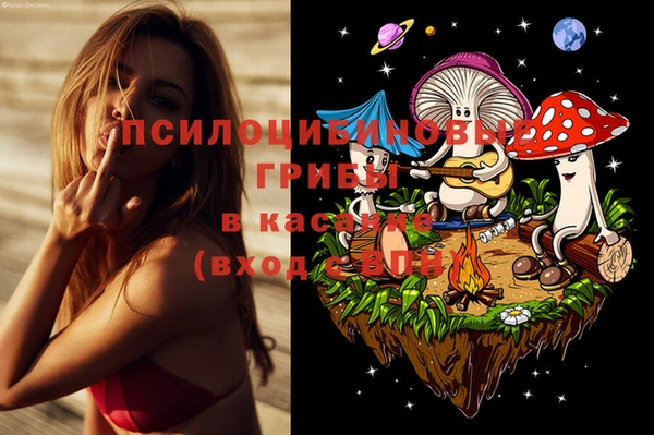 эйфоретик Верея