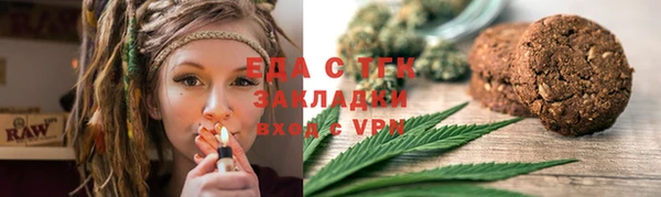 дживик Верхний Тагил
