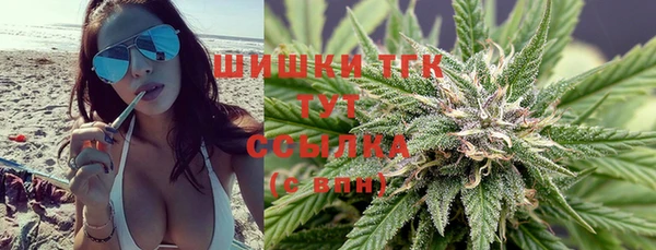 эйфоретик Верея