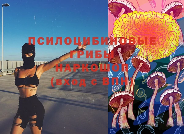 дживик Верхний Тагил