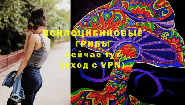 дживик Верхний Тагил