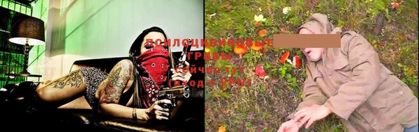 дживик Верхний Тагил