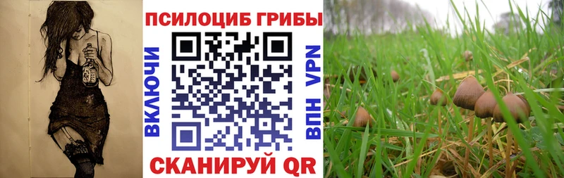Галлюциногенные грибы мухоморы  Луза 