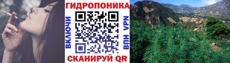 MEGA вход  Луза  Канабис SATIVA & INDICA 